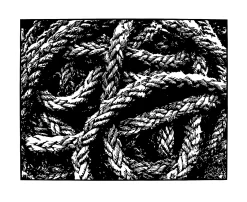 Cordage