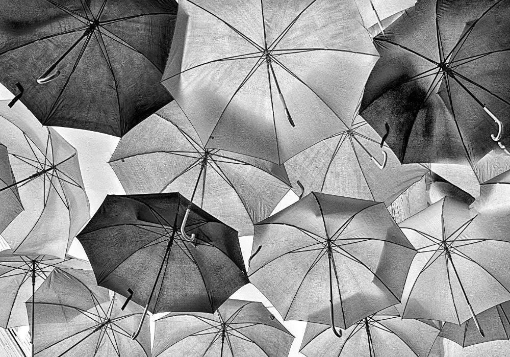 Umbrellas 1 Umbrellas