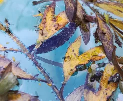 I Had To Go Over There