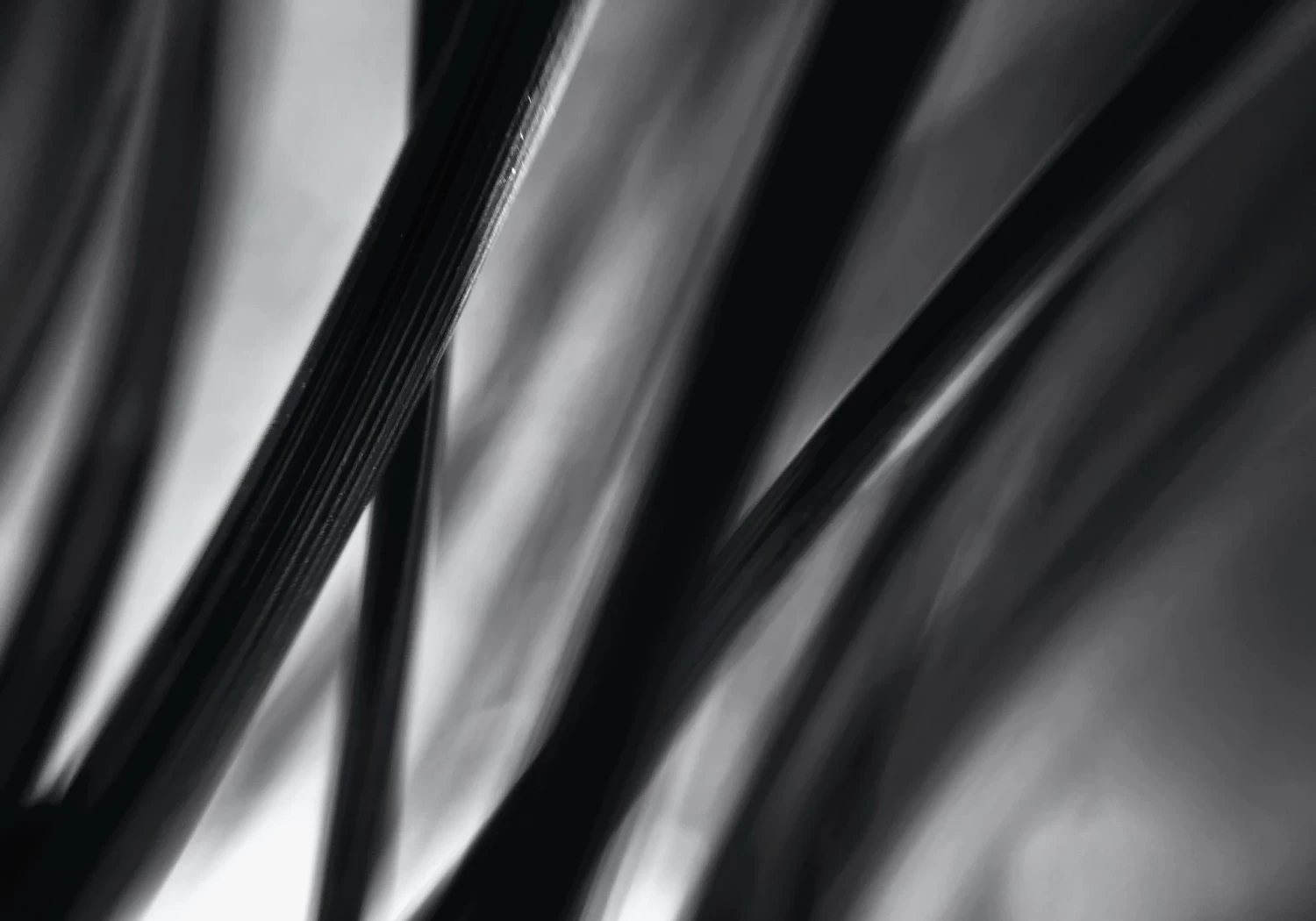 Black Forest 1 Black Forest