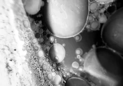 Chemistry (See Figure One)