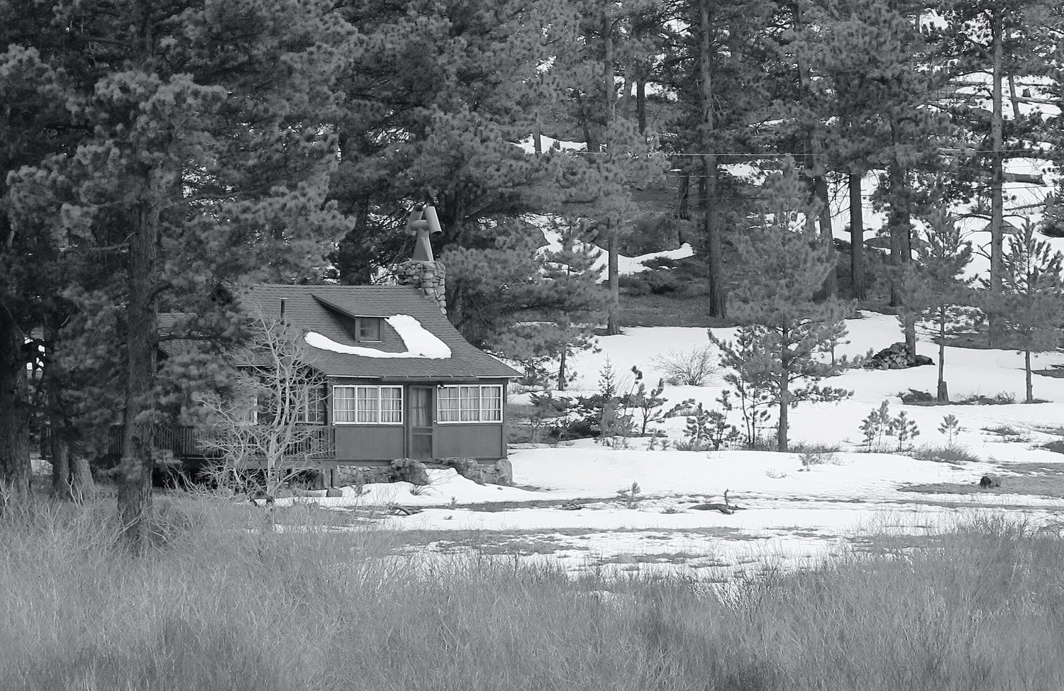 Lone Cabin 1 Lone Cabin