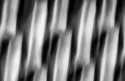 Darkened Lair (Black & White)