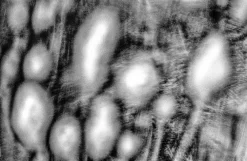 Impression Of Anonymity