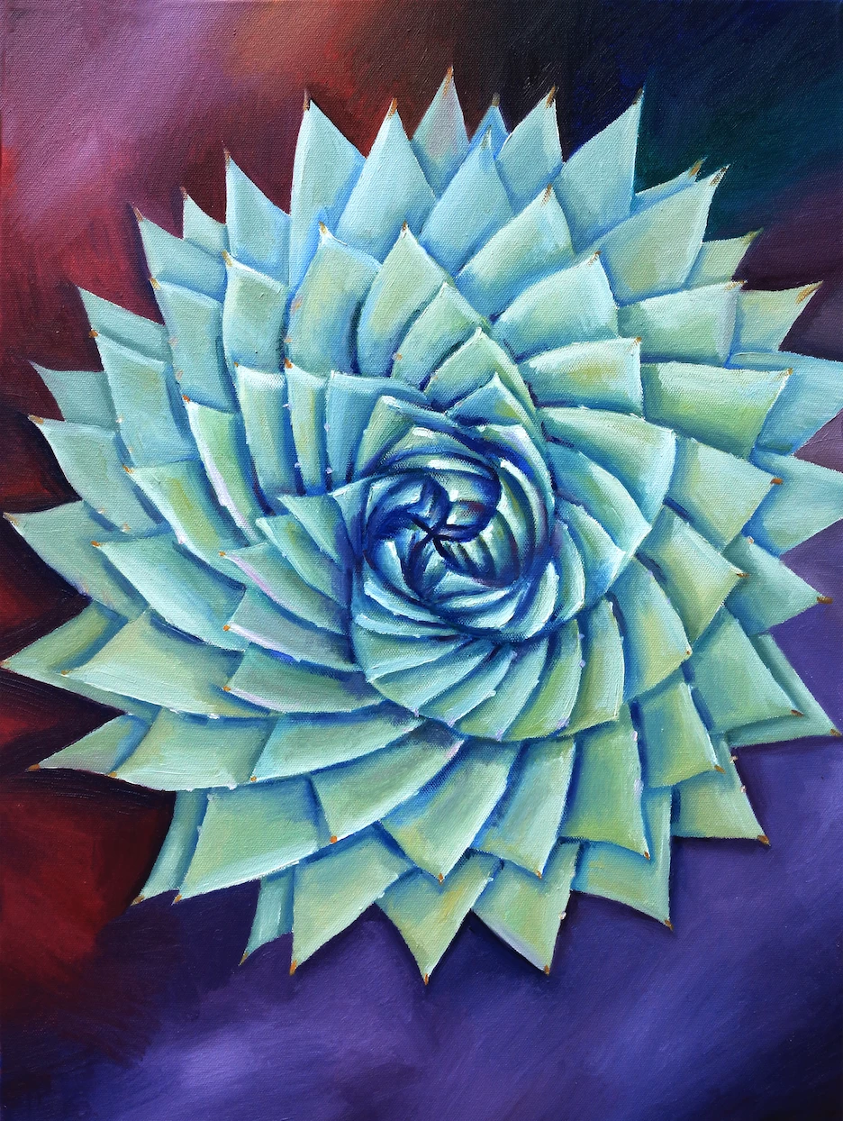 Succulent 1 Succulent