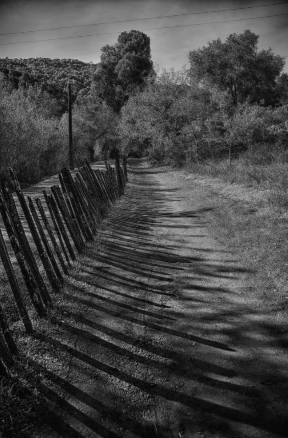 Fence Shadows 1 Fence Shadows
