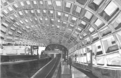 The Washington D.C. Transit