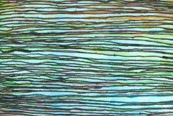 Like A Rollercoaster