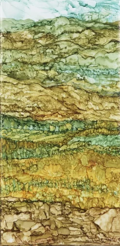 Late Summer Vineyard